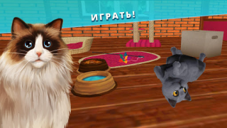 تحميل Pet Hotel – My animal pension المحاكاة لنظام أندرويد لقطة شاشة 2