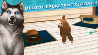 تحميل Pet Hotel – My animal pension المحاكاة لنظام أندرويد لقطة شاشة 4