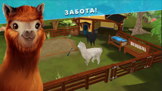 تحميل Pet Hotel – My animal pension المحاكاة لنظام أندرويد لقطة شاشة 5