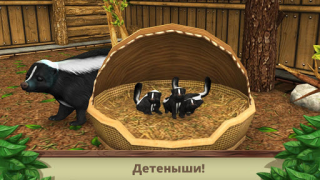 تحميل Pet World: WildLife America المحاكاة لنظام أندرويد لقطة شاشة 4