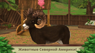 تحميل Pet World: WildLife America المحاكاة لنظام أندرويد لقطة شاشة 5