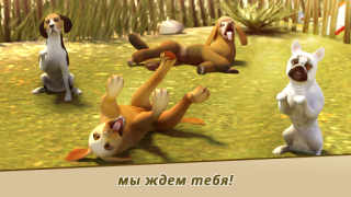 تحميل Dog Hotel – Play with dogs المحاكاة لنظام أندرويد لقطة شاشة 3