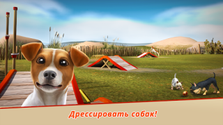 تحميل Dog Hotel – Play with dogs المحاكاة لنظام أندرويد لقطة شاشة 5