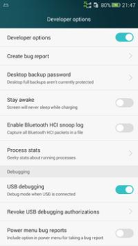 تحميل Development Settings أدوات لنظام أندرويد لقطة شاشة 6