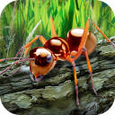 تحميل  Ants Survival Simulator - go t