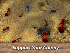 تحميل Ants Survival Simulator - go t المحاكاة لنظام أندرويد لقطة شاشة 6