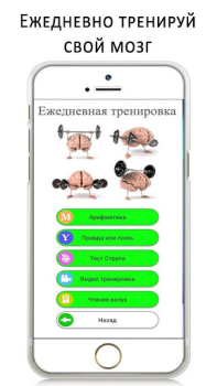 Тренировка мозга и памяти