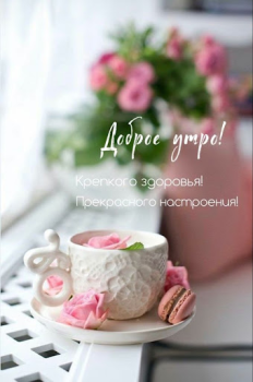 تحميل Доброе утро Добрый вечер وسائل الترفيه لنظام أندرويد لقطة شاشة 2