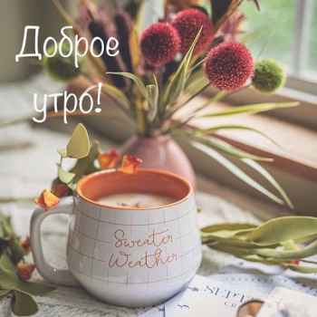 تحميل Доброе утро Добрый вечер وسائل الترفيه لنظام أندرويد لقطة شاشة 3