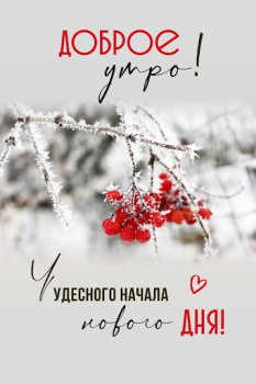تحميل Доброе утро Добрый вечер وسائل الترفيه لنظام أندرويد لقطة شاشة 7