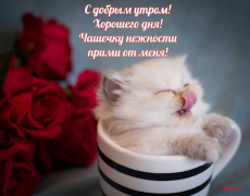 تحميل Прикольные с добрым утром وسائل الترفيه لنظام أندرويد لقطة شاشة 2