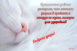 تحميل Прикольные с добрым утром وسائل الترفيه لنظام أندرويد لقطة شاشة 5