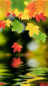 تحميل HD Wallpapers إضفاء الطابع الشخصي لنظام أندرويد لقطة شاشة 2