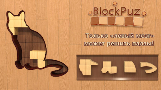 تحميل BlockPuz: Block Puzzle Games الألغاز لنظام أندرويد لقطة شاشة 6