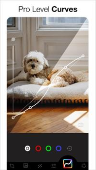 تحميل AI Photo Editor - Lumii صورة فوتوغرافية لنظام أندرويد لقطة شاشة 6